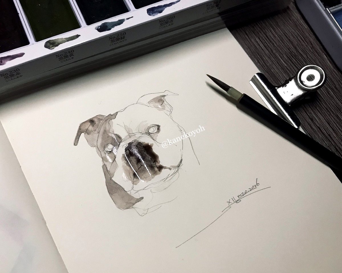 金子 羊｜Kaneko Yoh (@kanekoyoh) on Twitter photo 