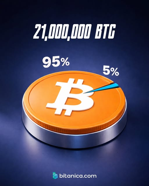 Bitanica tweet media