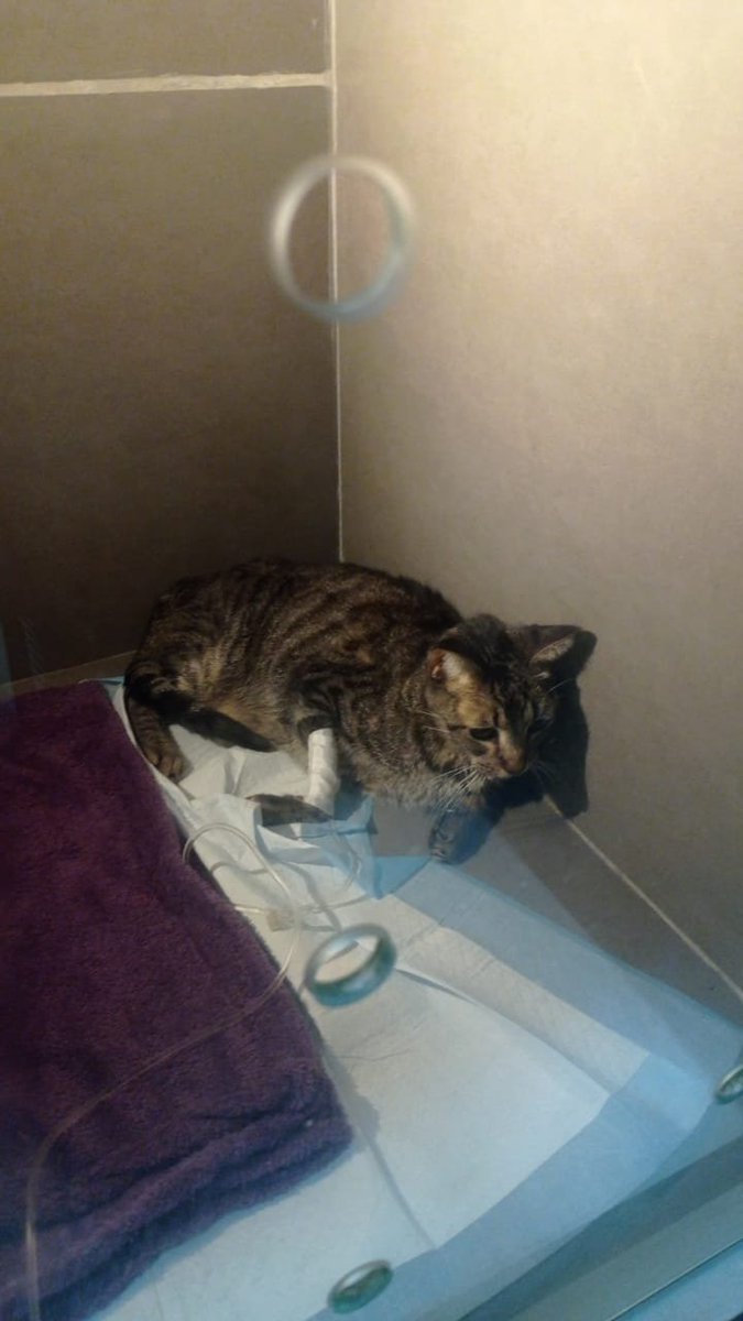 🎀 Naomi Meilly 🍭🧠 tweet media