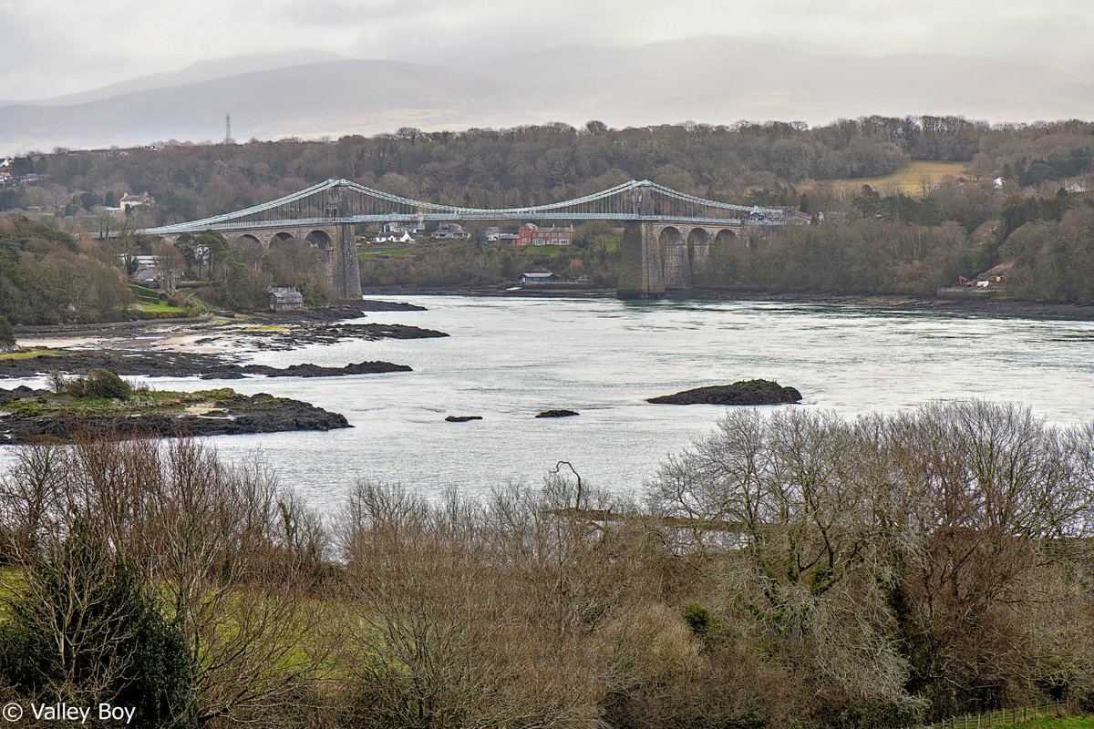 ValleyBoy tweet media