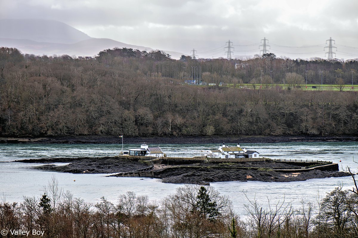 ValleyBoy tweet media