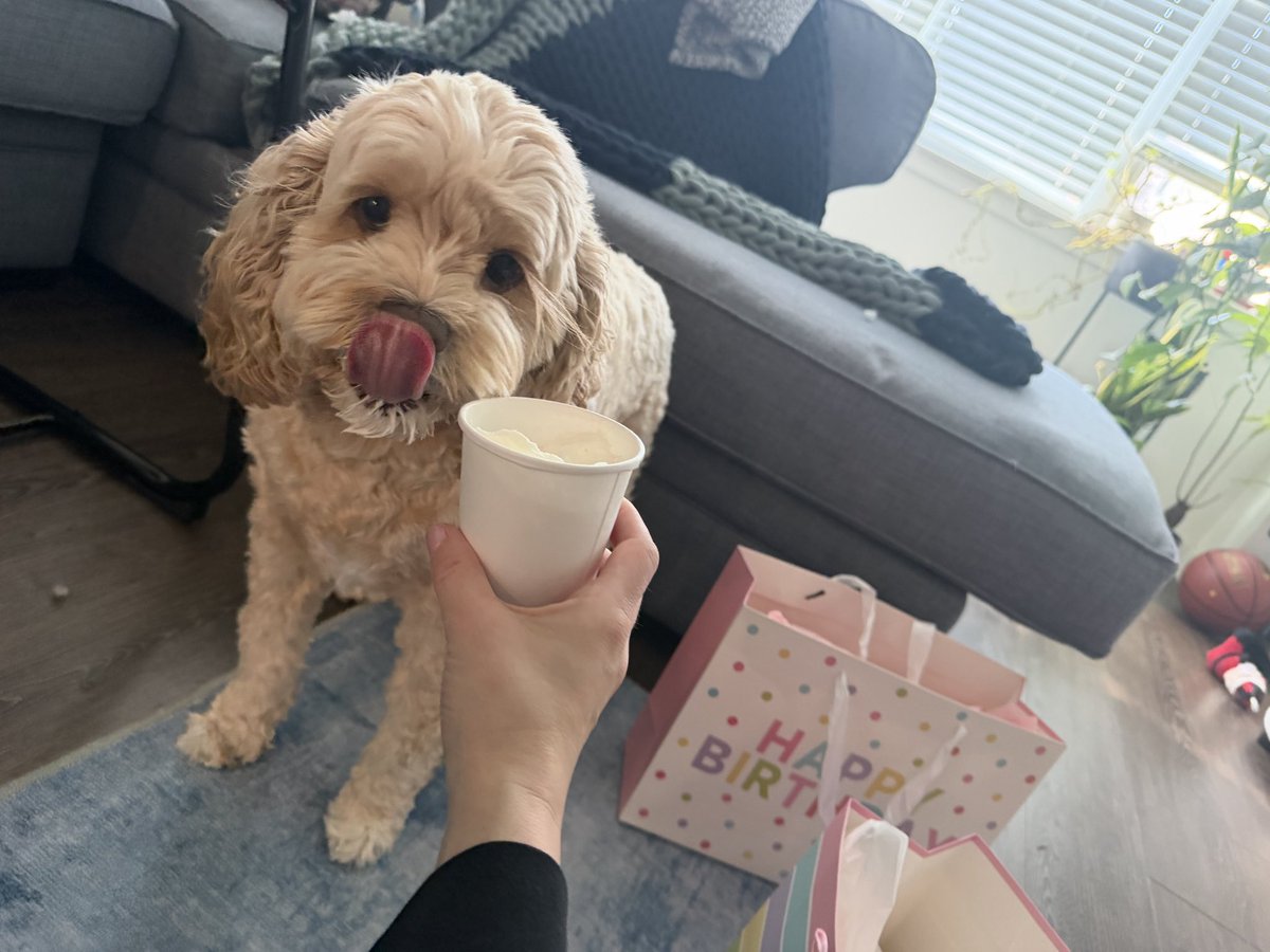 TheGrappleGirl tweet media