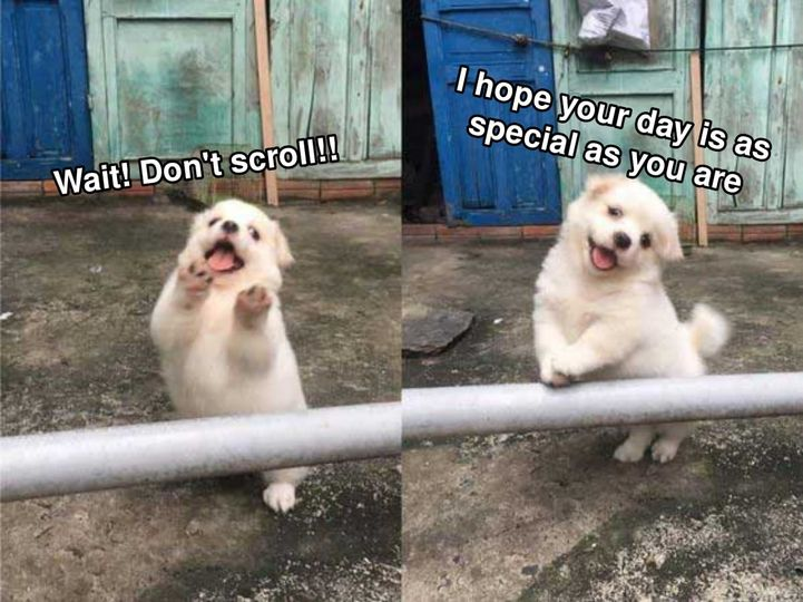 WholesomeMeme's tweet photo. https://t.co/BIAiIiBOJm