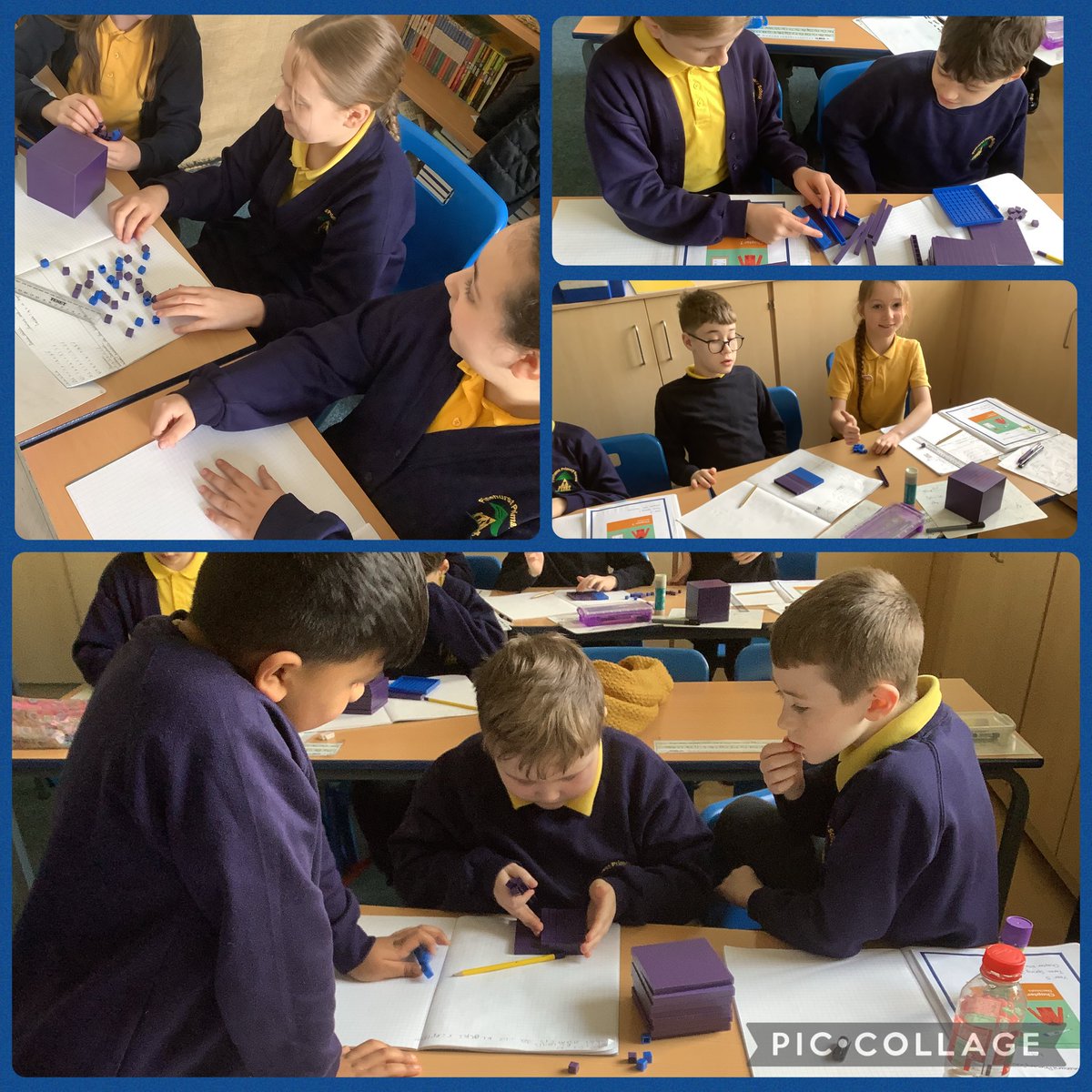 Maple Year 5 tweet media