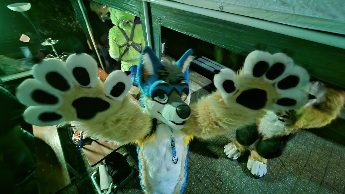 Nexus the Jackal tweet media