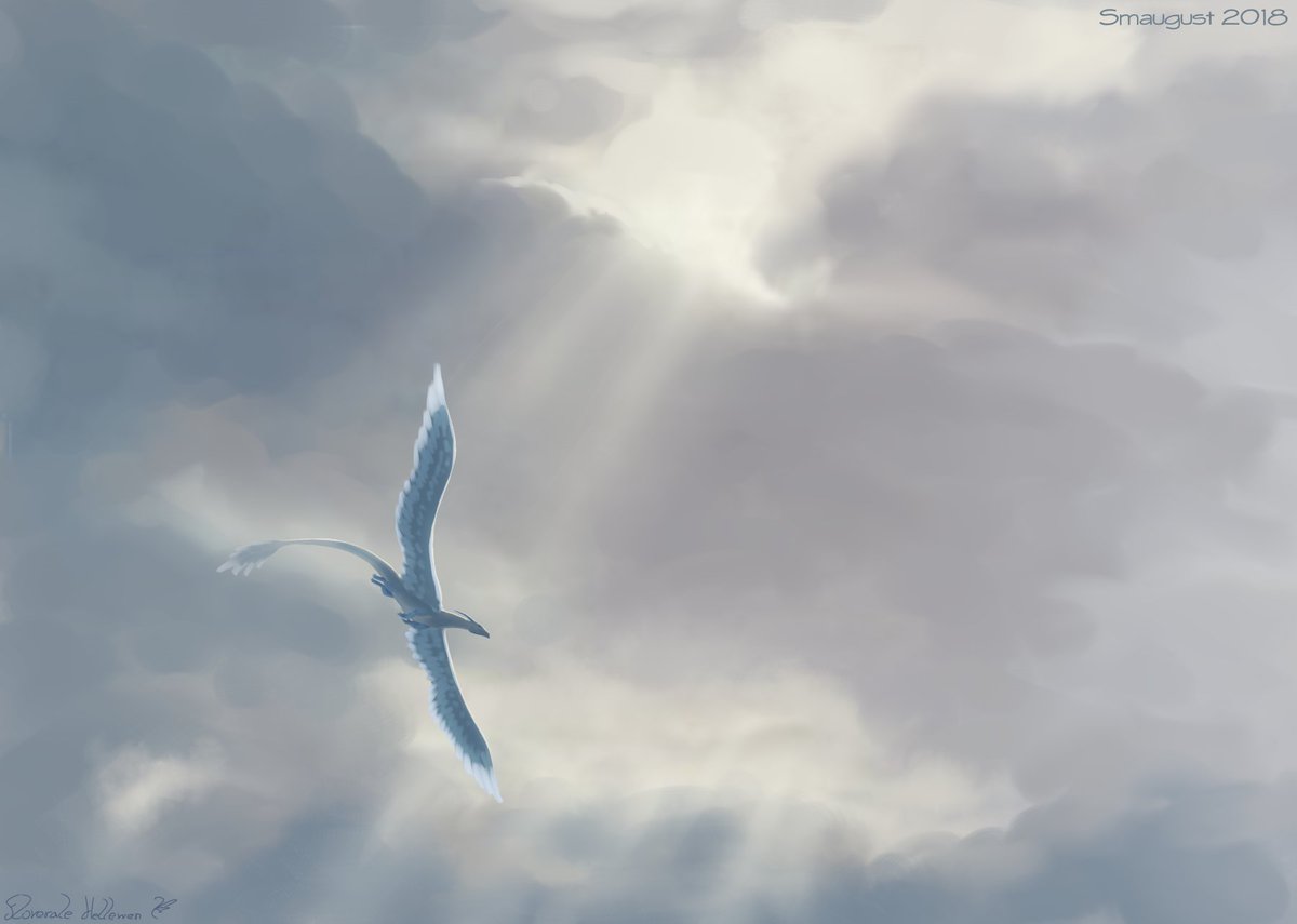 Floverale-Hellewen 🌺 tweet media