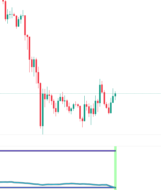 Traveller tweet media