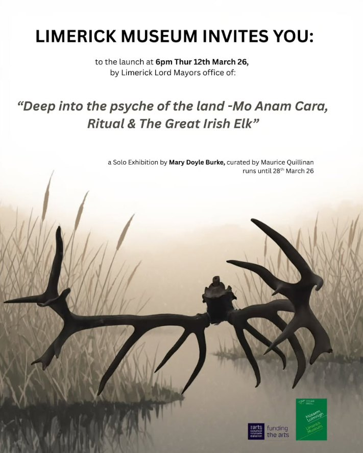 Limerick Museum tweet media