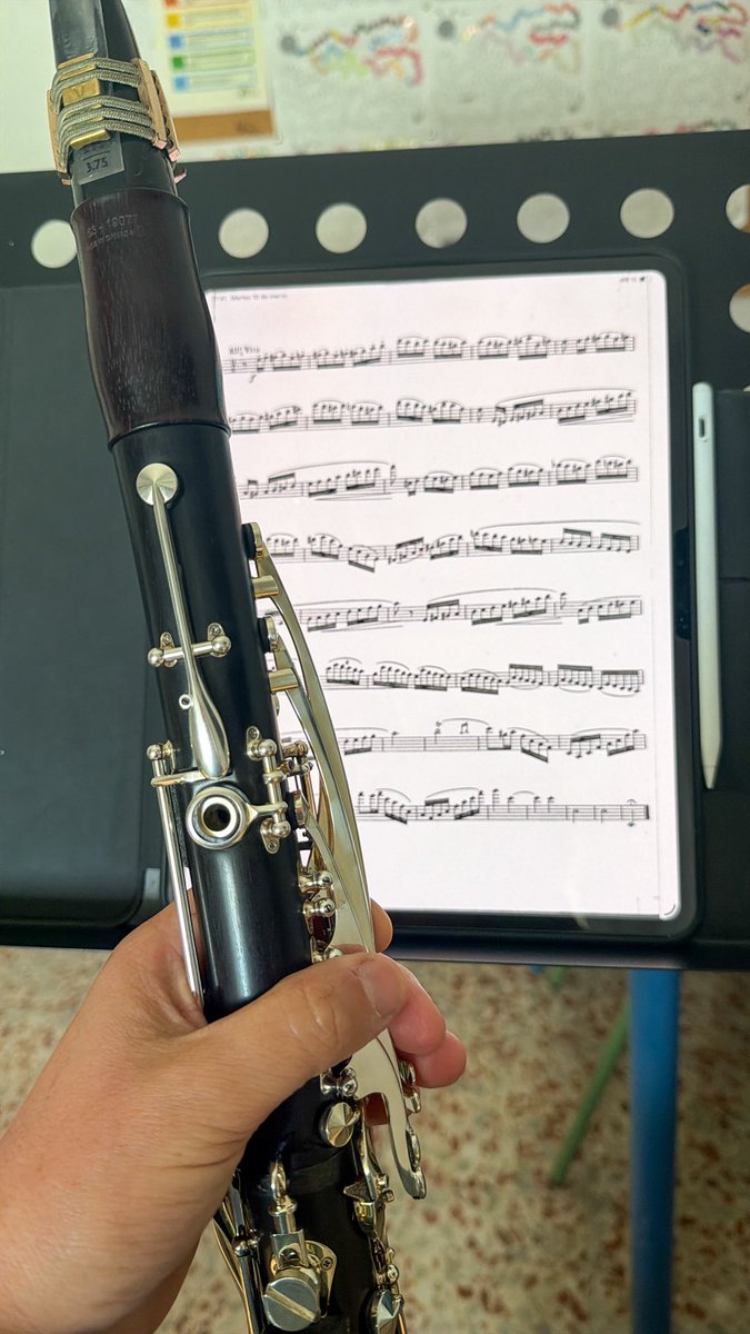 Días intensos preparando los próximos compromisos:
V 13- Capilla en Cádiz
S 14- Ensemble Garum “Beethoven” en Vejer 
D 15- Con cuarteto de cuerdas en Jerez
#eldiaadiadelmusico