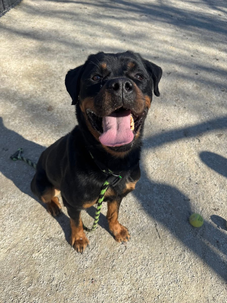 Pennsylvania SPCA tweet media