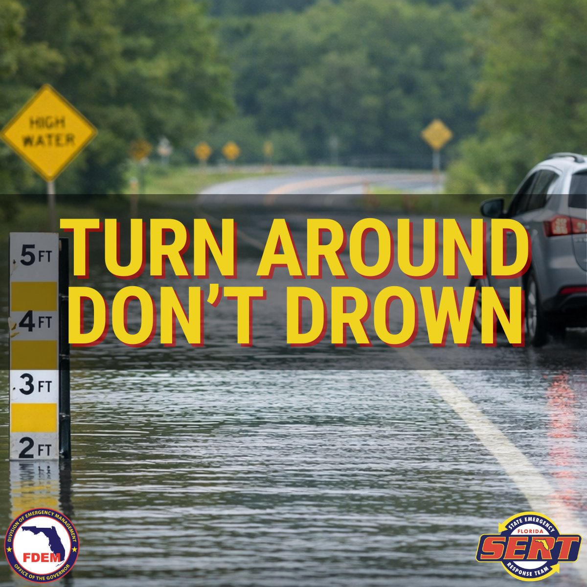 FL Division of Emergency Management tweet media