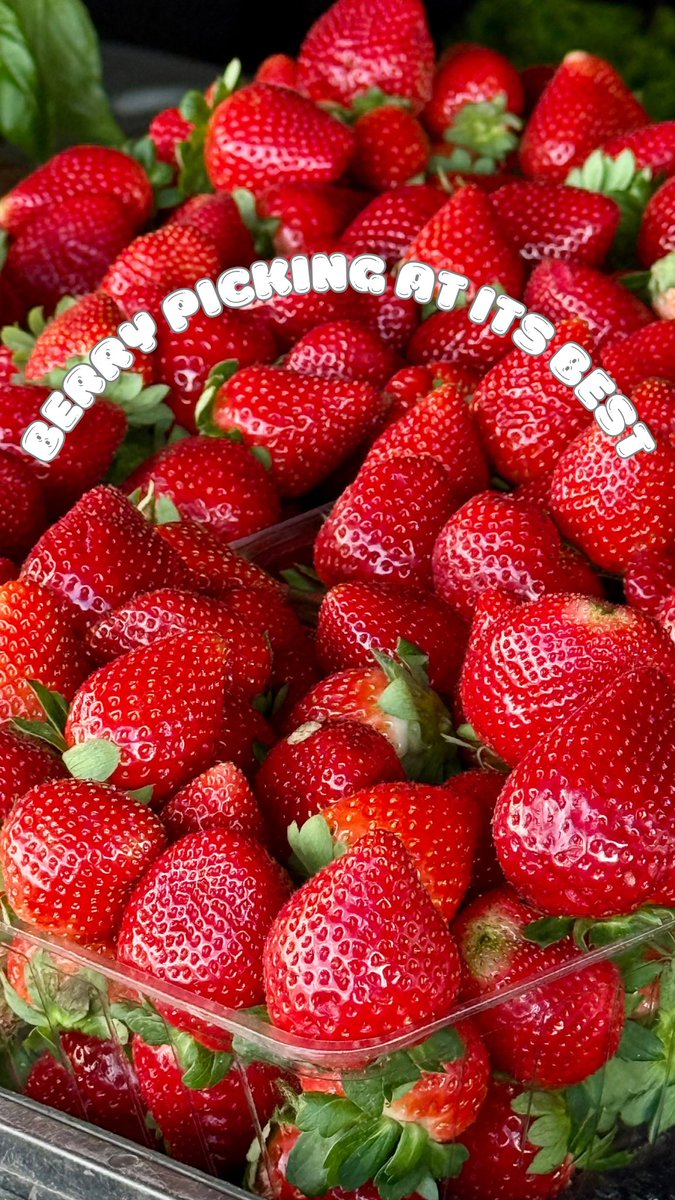 The Berry Farms tweet media