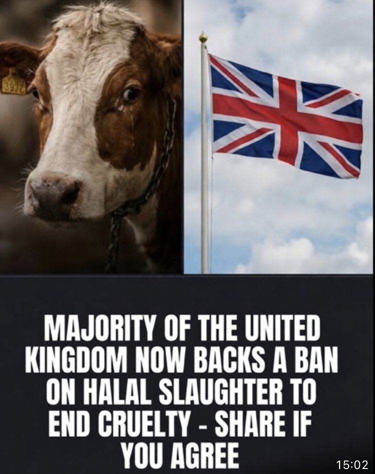 N Ecc 🏴🏴🏴 tweet media