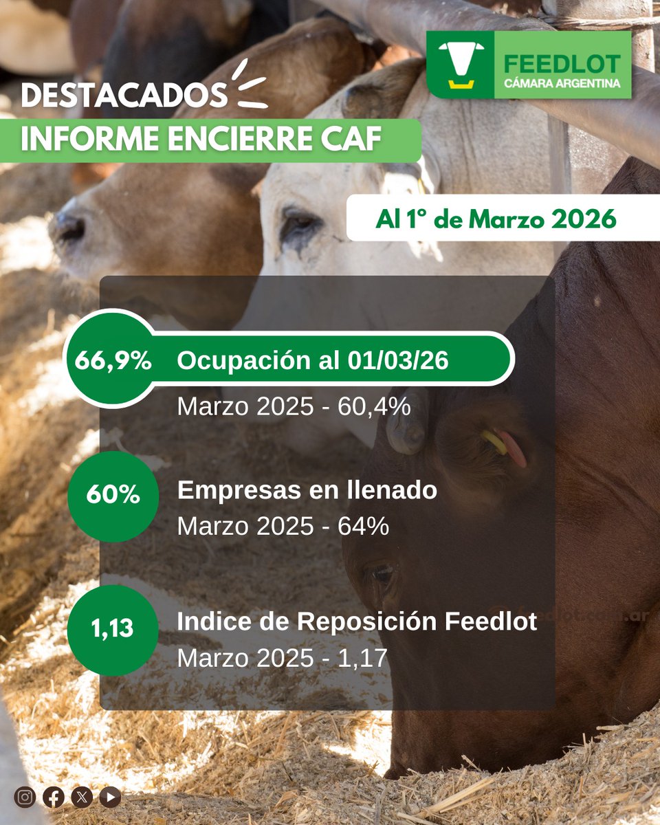 Feedlot Argentina tweet media
