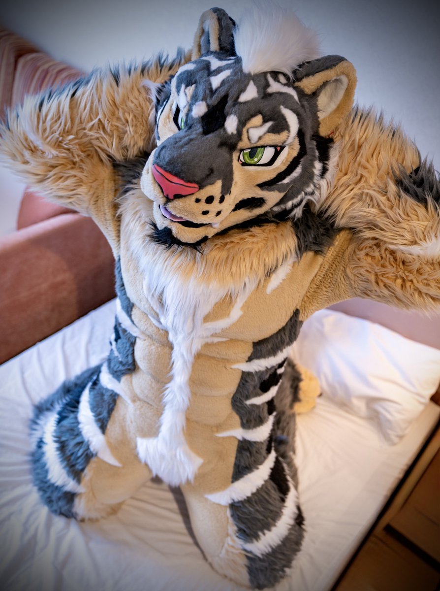 Zephyr🔜 Thaitails🇹🇭 tweet media