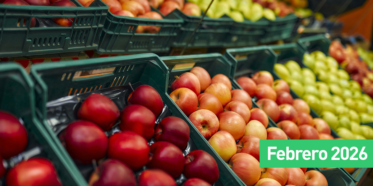 Centro CEPA tweet media