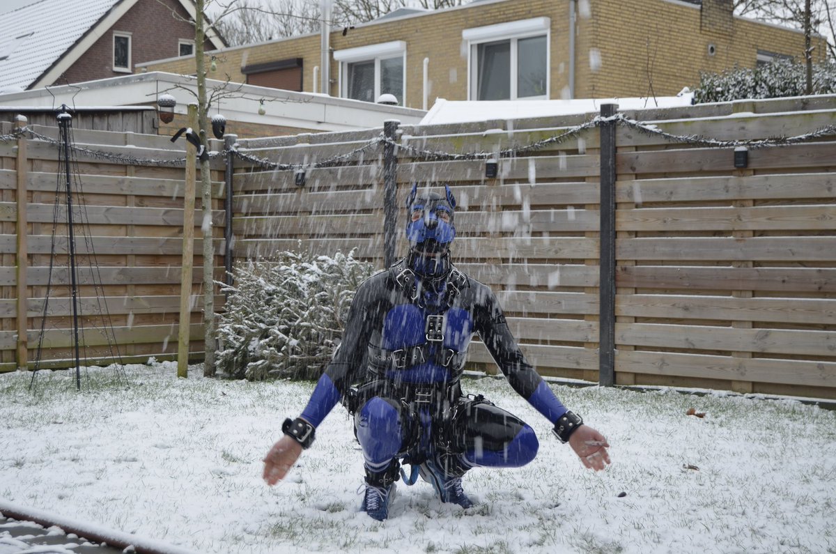 rubber pup blue tweet media