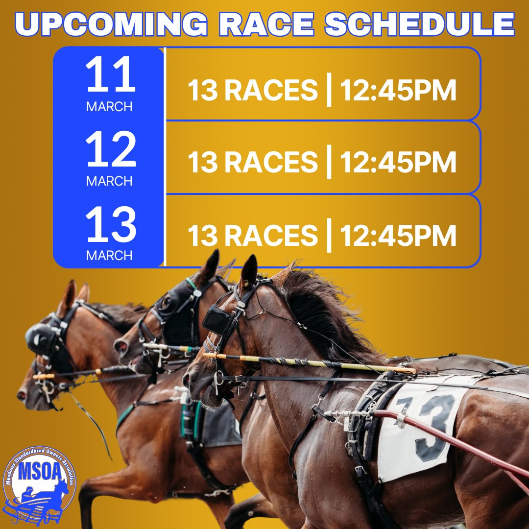 Meadows Standardbred Owners Association tweet media