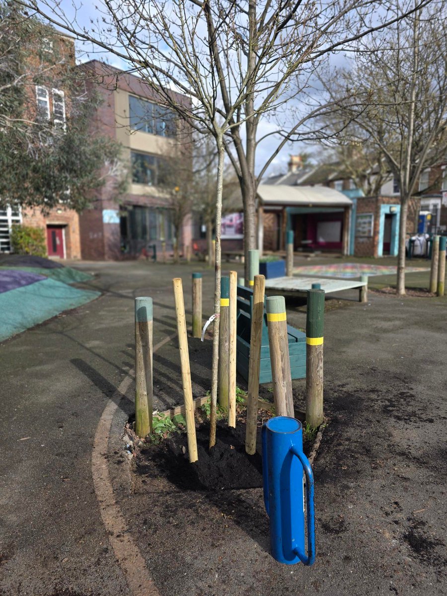 JessopPrimarySchool tweet media