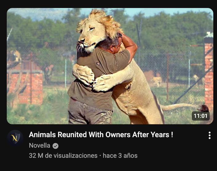 Mugar l YouTube Strategist tweet media