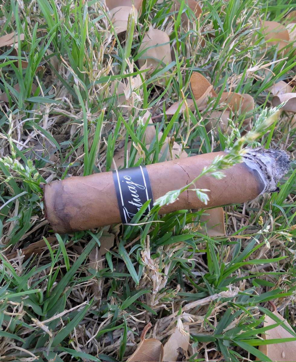 Daniel in Tempe tweet media