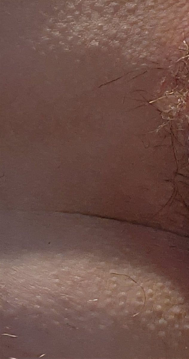 Gummy (they/them) 🖤🤍💚🤍🖤 tweet media