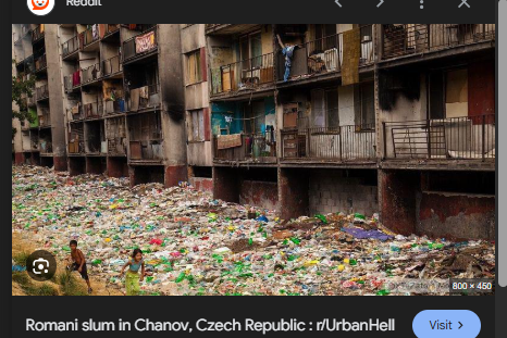 SSule17's tweet photo. This logic is hilarious. As if these issues r "peculiar"  2 Blacks . You find this anywhere . Have you seen the  Eastern europe  Or even the streets of Kensington, Philly and California?👇Eastern europe (Serbia,Romania,czech,slovakia https://t.co/cdc5DGRdjY
