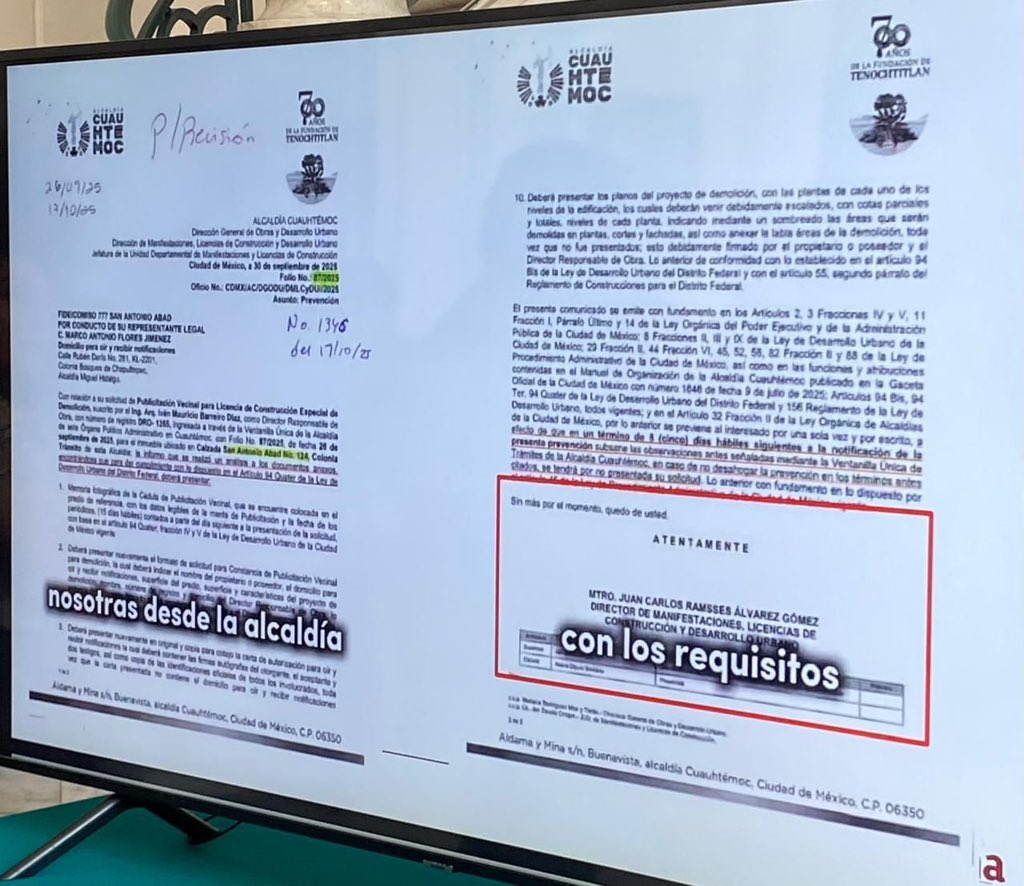 Alessandra Rojo de la Vega tweet media