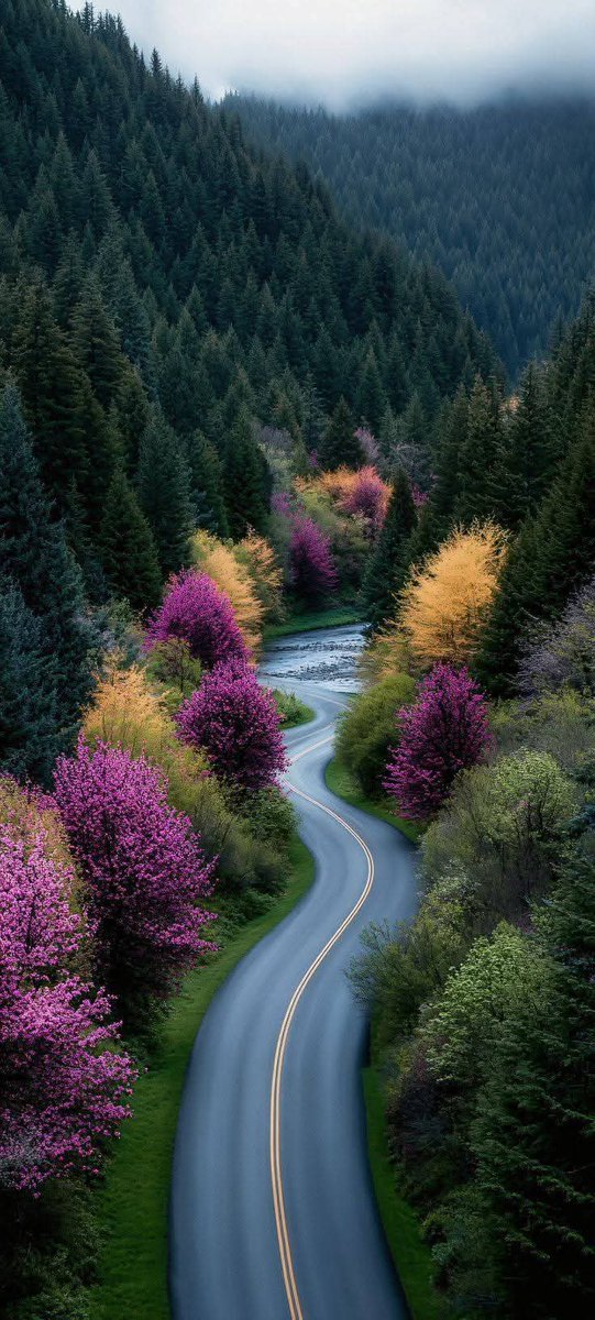 لا اله إلا انت سبحانك اني كنت من الظالمين.

<a href="/Kahtan72100/">أبو قحطان الحاتمي</a>

 <a href="/j3j27/">✈️✈️</a> 

<a href="/MAlhatmy52221/">محمد الحاتمي</a> 

<a href="/Joe_201477/">چو</a> 

<a href="/RMD03010633/">ليث الجزيرة</a> 

<a href="/khalidalshamre4/">🌹 الــورديـهـ 🌐</a> 

<a href="/AbuAbdulrahma5/">الطائرالمسافر ابو عبدالرحمن</a>

 <a href="/1m90k/">Baha Aldeen Alshmiri</a> 

<a href="/basheeralothman/">بشيرالعثماني</a> 

<a href="/D_Hadeela/">د.هديل المشرقي</a>

 <a href="/AbonagaAshraf/">Ashraf Abonaga</a> 

<a href="/bk_288/">بڪيل</a> 

<a href="/33ib4/">🚀🚀</a> 

فالكم التوفيق يارب