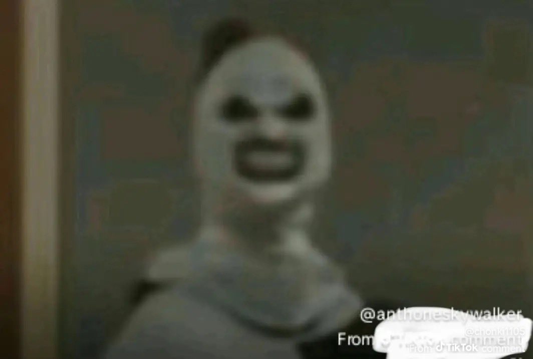 Punk Pup🐾 tweet media