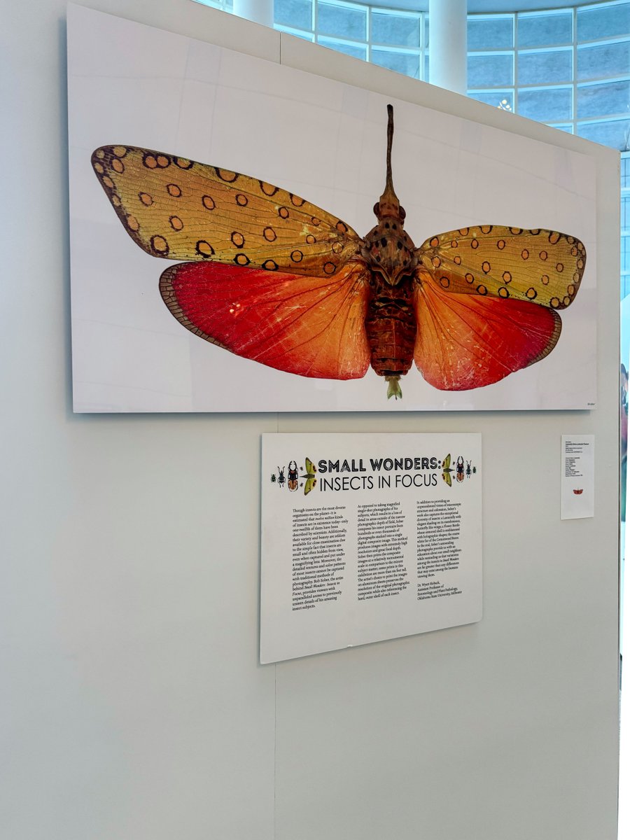 MetroLibraryOK tweet media