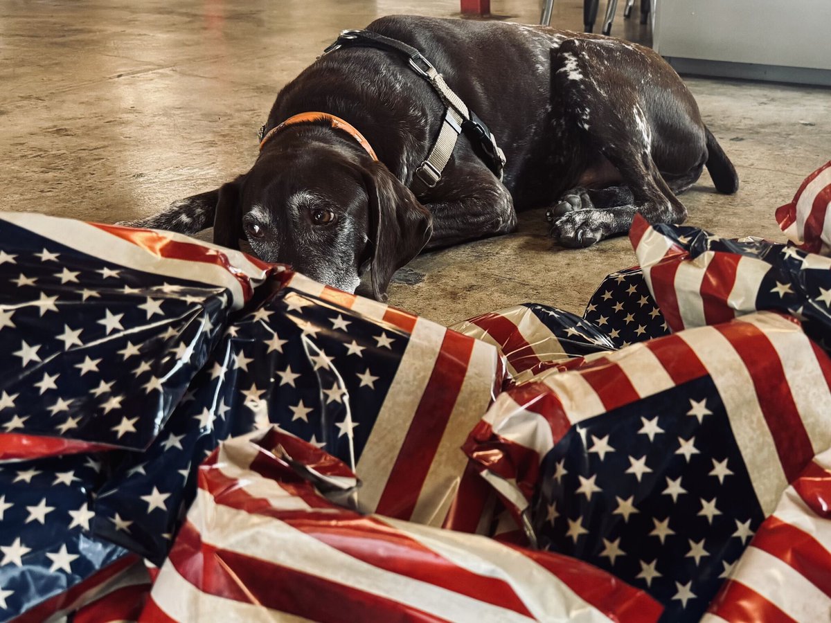 American Operator tweet media