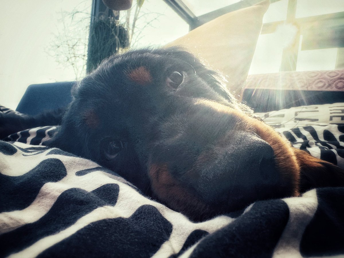 Deviant Weather Observer tweet media