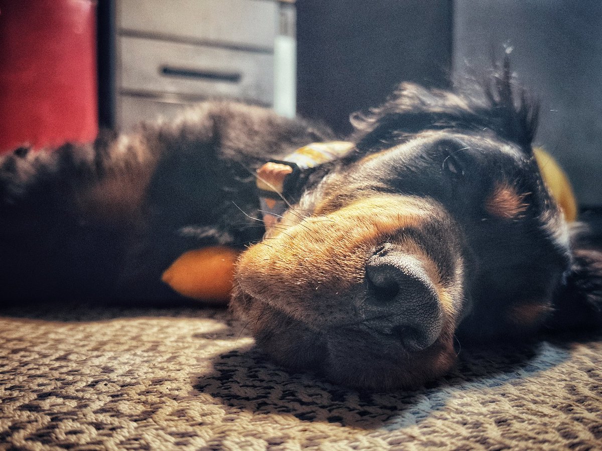 Deviant Weather Observer tweet media