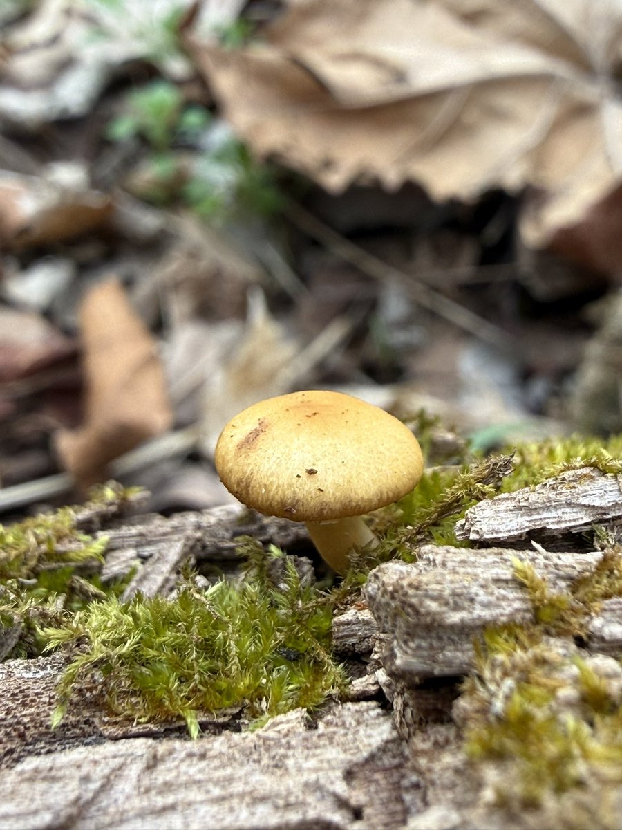 Terry Maggert tweet media