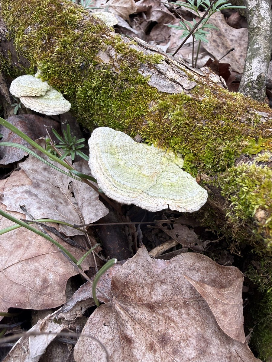 Terry Maggert tweet media