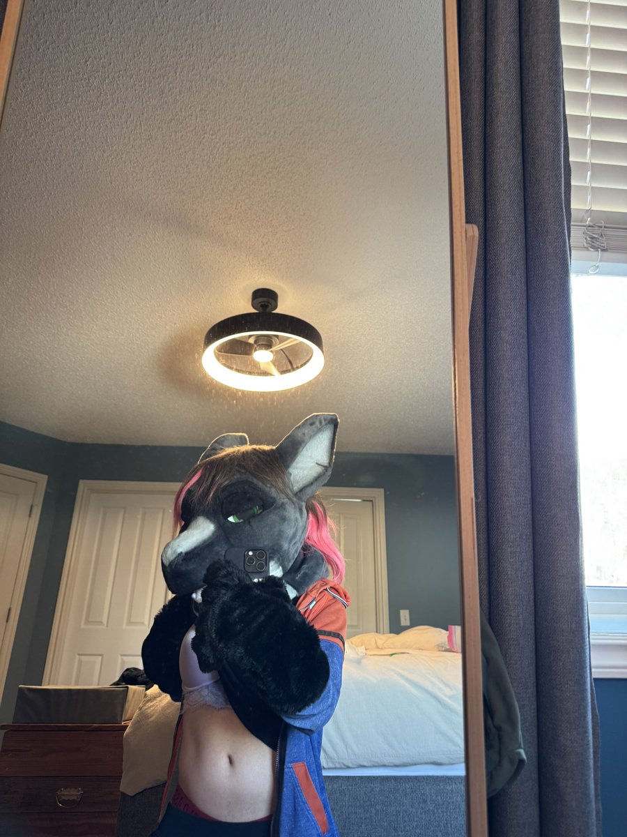 Shark attacxxx tweet media