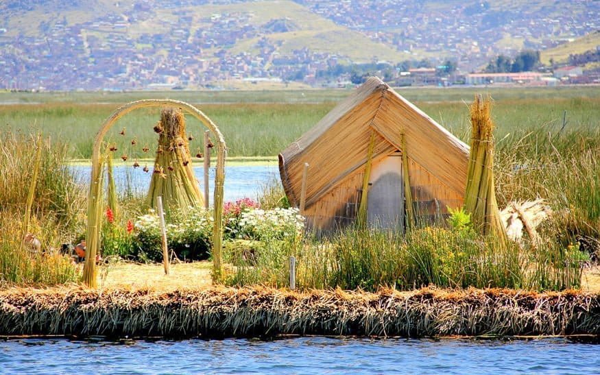 Frikitona 🇸🇻🇲🇽🏳️🌈 tweet media