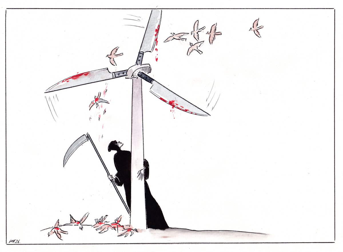 Paco Catalán. tweet media