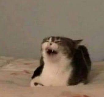 Aryi 🙂‍↕️ tweet media