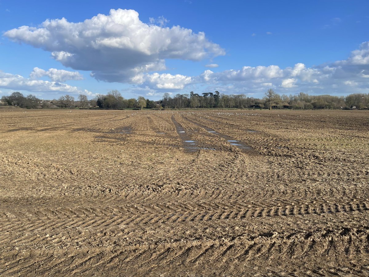 Neil Burt tweet media