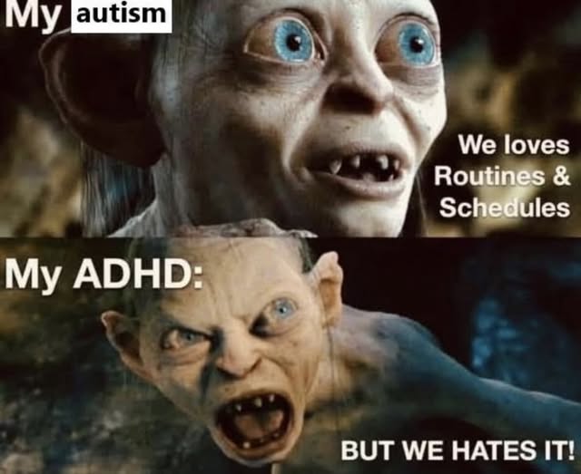 No Nonsense Neurodivergent tweet media