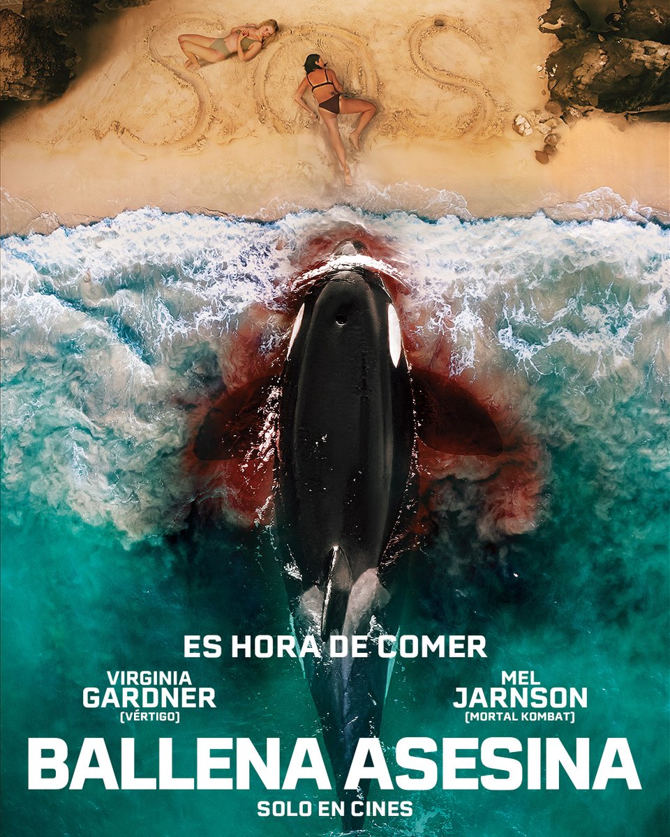 En el océano no hay segundas oportunidades.😨

Dos amigas.
Y el depredador más inteligente del mar.

Cuando la caza empieza, no se trata solo de sobrevivir…
sino de decidir hasta dónde estás dispuesto a llegar.

BALLENA ASESINA🐋💀
Desde este 12 de marzo en cines de Paraguay.
