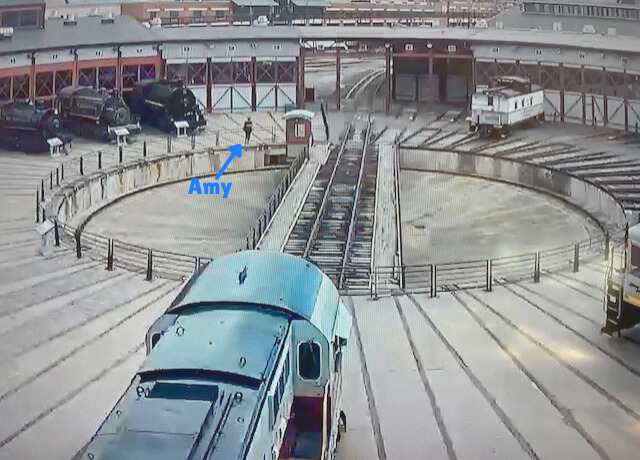 Denbo Center for Humanities & the Arts tweet media