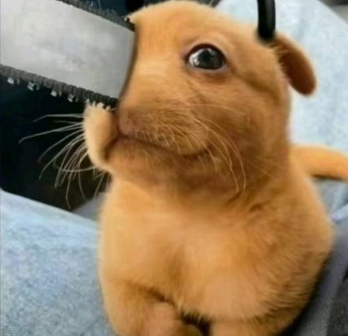 Famine Devil tweet media