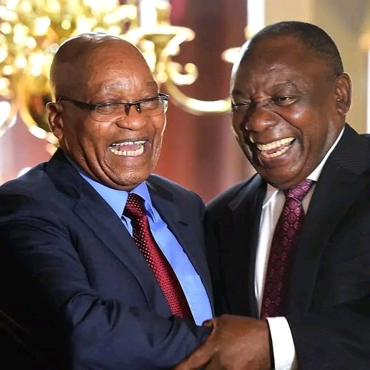 Benzi🫗 tweet media