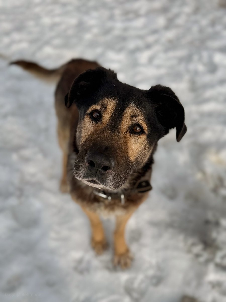 DzAB ''Ķepu-ķepā'' tweet media