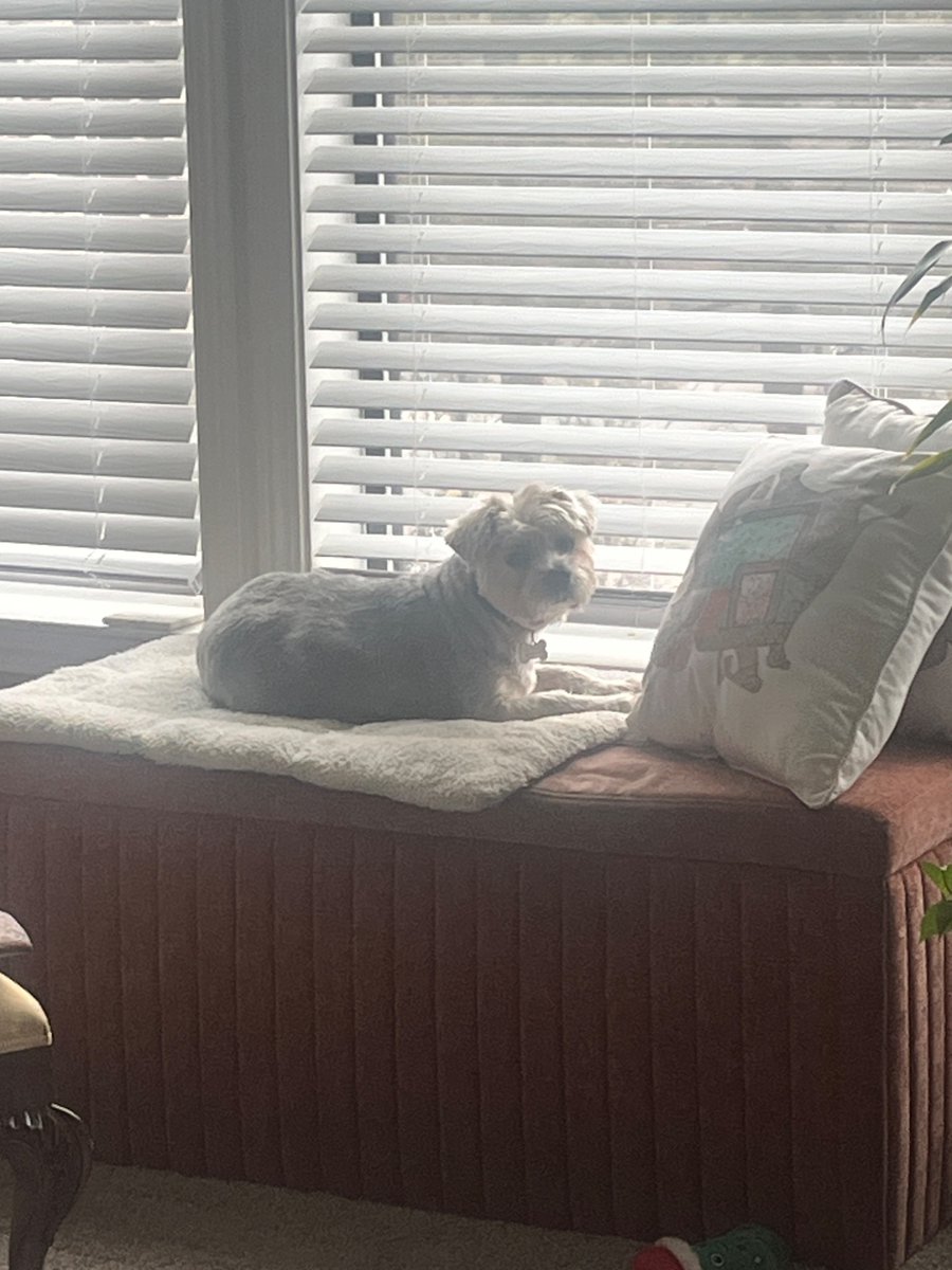 B0TB1TCH tweet media