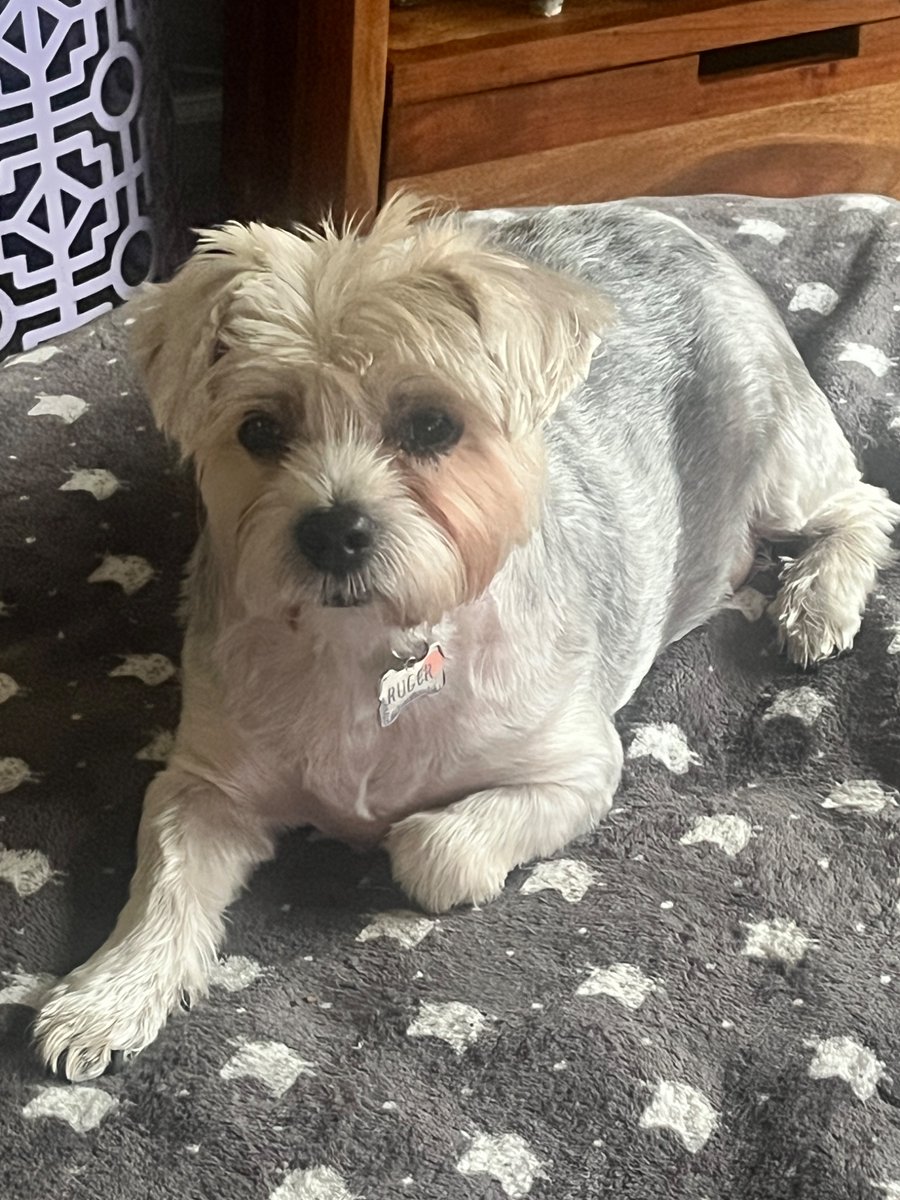 B0TB1TCH tweet media