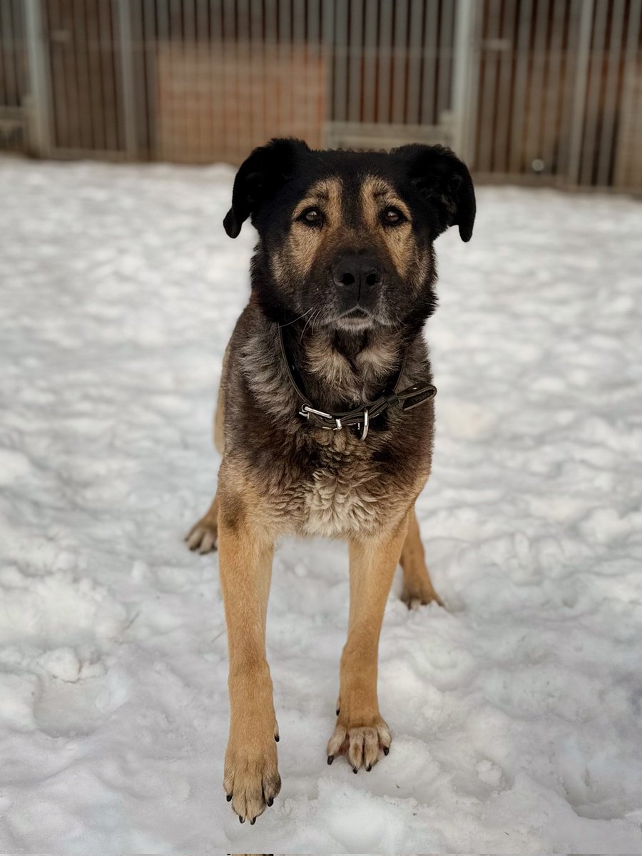 DzAB ''Ķepu-ķepā'' tweet media